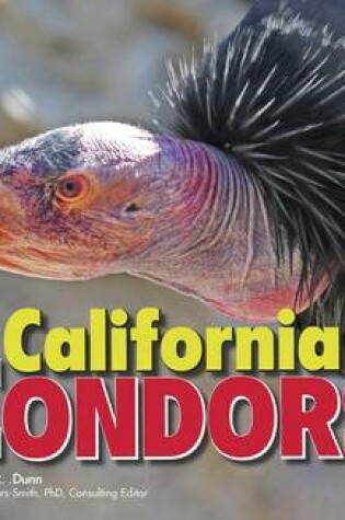 Cover of California Condors