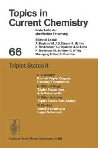 Cover of Triplet States III