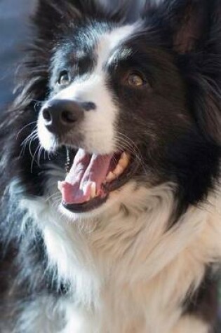 Cover of Adorable Black and White Border Collie Dog Journal