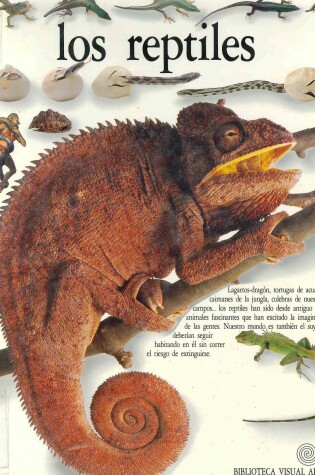 Cover of Los Reptiles/Reptiles