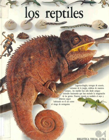 Book cover for Los Reptiles/Reptiles