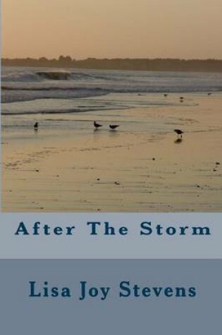 Cover of After The Storm