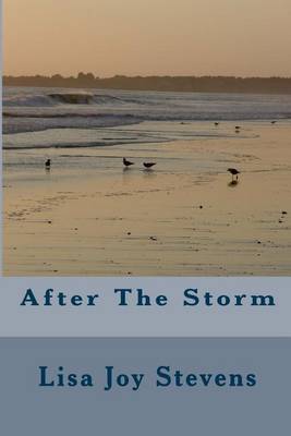 Book cover for After The Storm