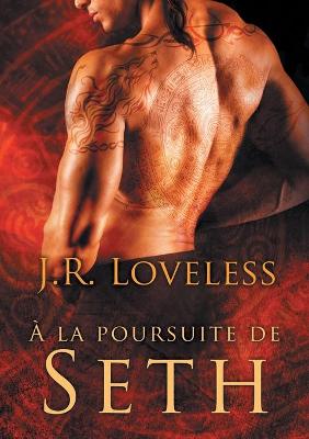 Book cover for a la Poursuite de Seth