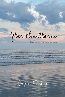 Book cover for After the Storm