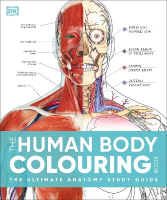 Cover of The Human Body Colouring Book