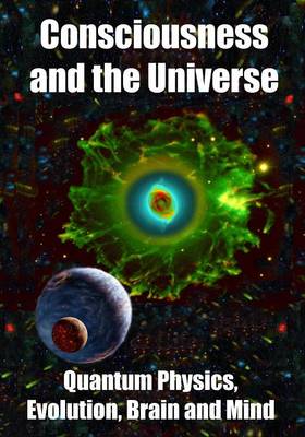 Book cover for Consciousness and the Universe