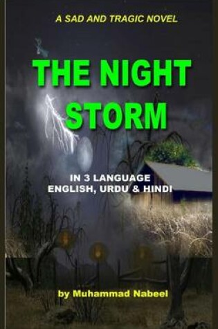 Cover of The Night Storm