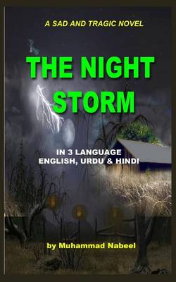 Book cover for The Night Storm