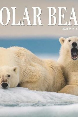 Cover of Polar Bear