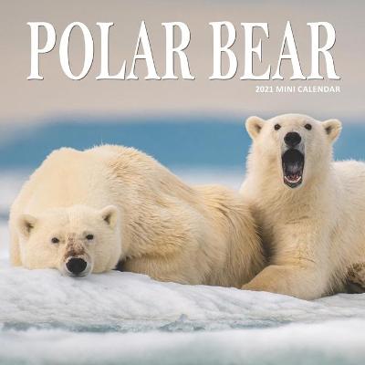 Book cover for Polar Bear