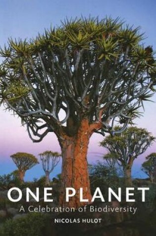 Cover of One Planet: A Celebration of Diversity