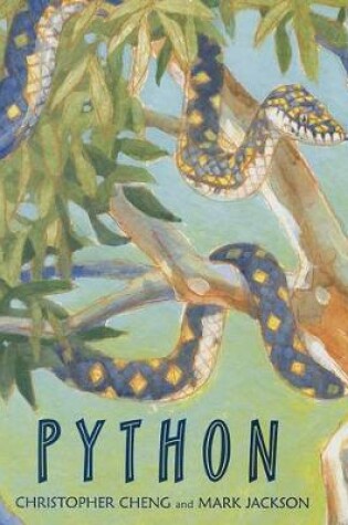 Cover of Python