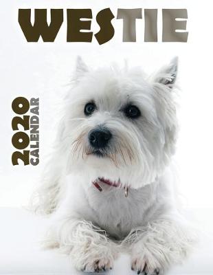 Book cover for Westie 2020 Calendar