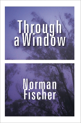 Book cover for Through a Window