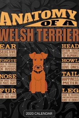 Book cover for Anatomy Of A Welsh Terrier