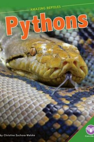 Cover of Pythons