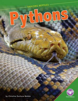 Cover of Pythons