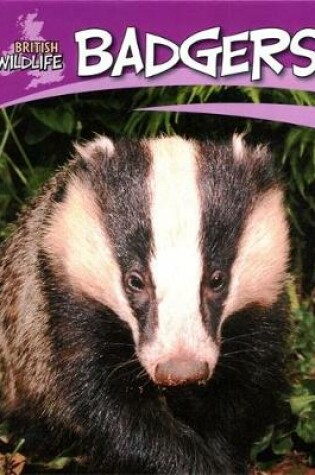 Cover of Badgers