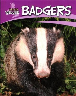 Book cover for Badgers