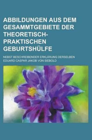 Cover of Abbildungen Aus Dem Gesammtgebiete Der Theoretisch-Praktischen Geburtshulfe; Nebst Beschreibender Erklarung Derselben