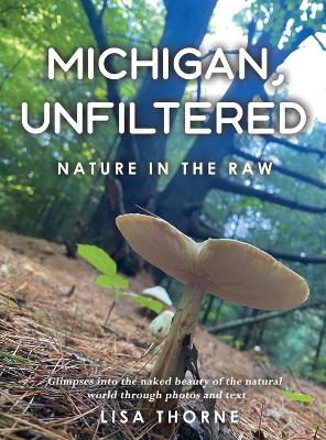 Book cover for Michigan, Unfiltered