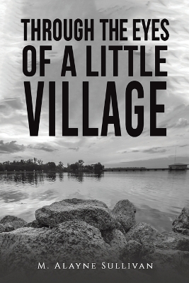 Book cover for Through the Eyes of a Little Village