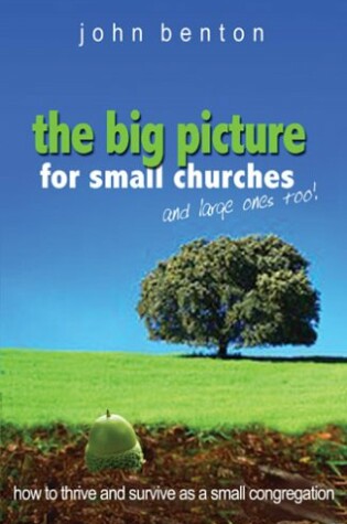 Cover of The Big Picture for Small Churches -- and Large Ones Too!