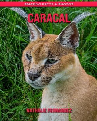 Book cover for Caracal