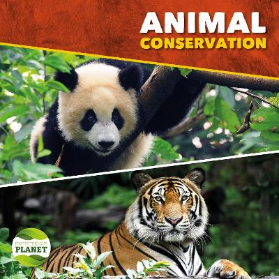 Book cover for Animal Conservation