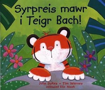 Book cover for Cyfres Teigr Bach: Syrpreis Mawr i Teigr Bach!