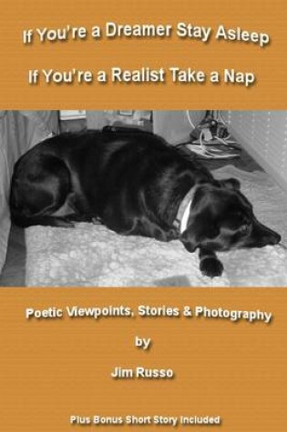 Cover of If You're a Dreamer Stay Asleep, If You're a Realist Take a Nap: Poetic Viewpoints, Stories, & Photography