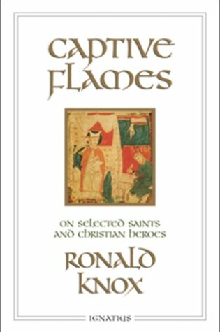 Cover of Captive Flames