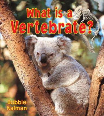 Book cover for What is a Vertebrate?