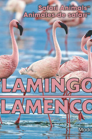 Cover of Flamingos / Flamencos