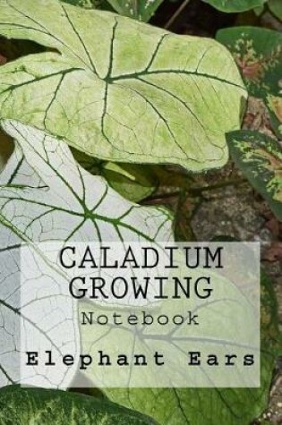 Cover of Caladium Growing