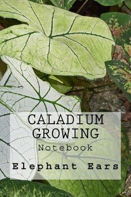 Book cover for Caladium Growing