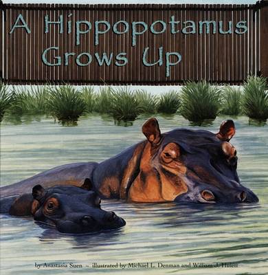 Book cover for A Hippopotamus Grows Up