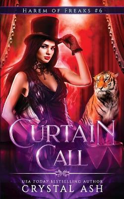 Book cover for Curtain Call