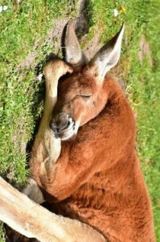 Cover of Red Kangaroo Napping on the Grass Journal