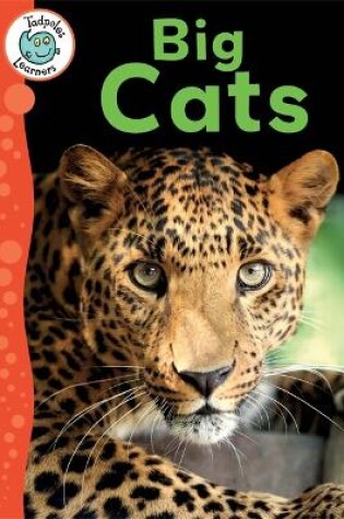 Cover of Tadpoles Learners: Big Cats