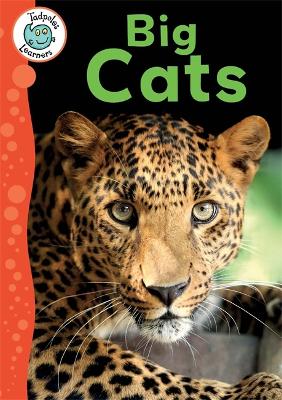 Cover of Tadpoles Learners: Big Cats