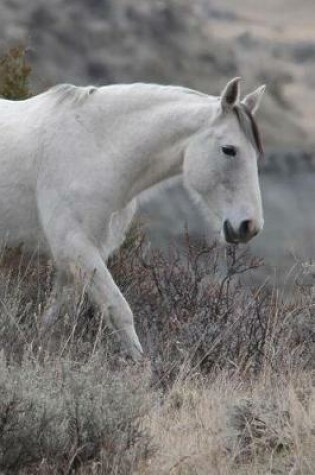 Cover of A Wild White Horse in the Foothills Journal