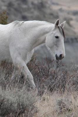 Book cover for A Wild White Horse in the Foothills Journal