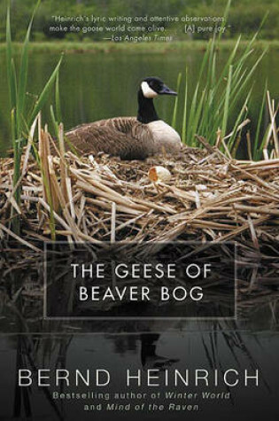 Cover of The Geese of Beaver Bog