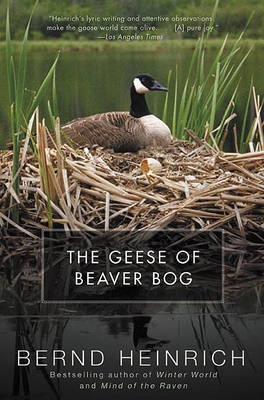 Book cover for The Geese of Beaver Bog