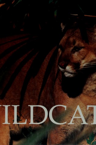 Cover of Wildcats