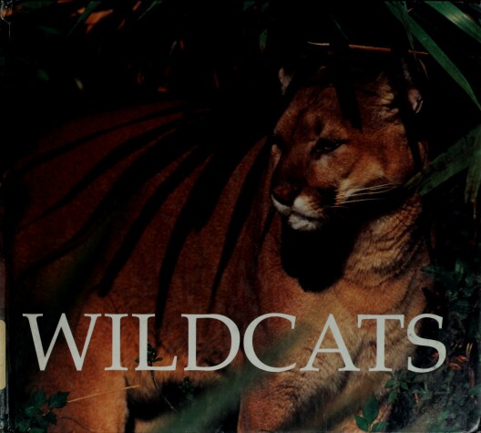 Book cover for Wildcats