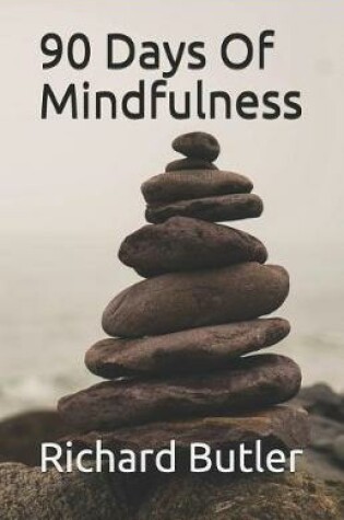 Cover of 90 Days of Mindfulness