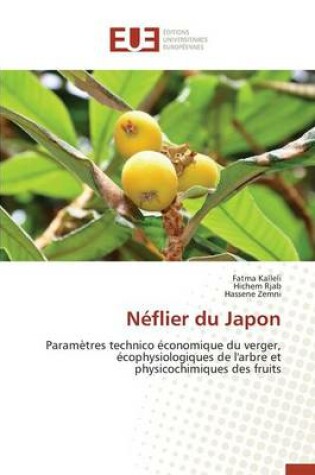 Cover of N flier Du Japon